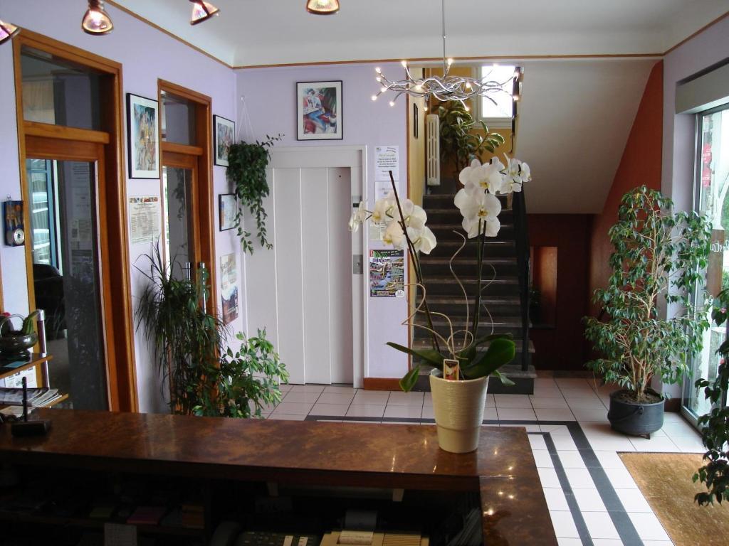 Hotel Beausejour Chaudes-Aigues Buitenkant foto